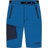 Direct Alpine Cruise Short