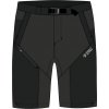 Direct Alpine Fremont Shorts