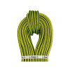 Beal Ginkgo 12 mm + 2 Term 20 m