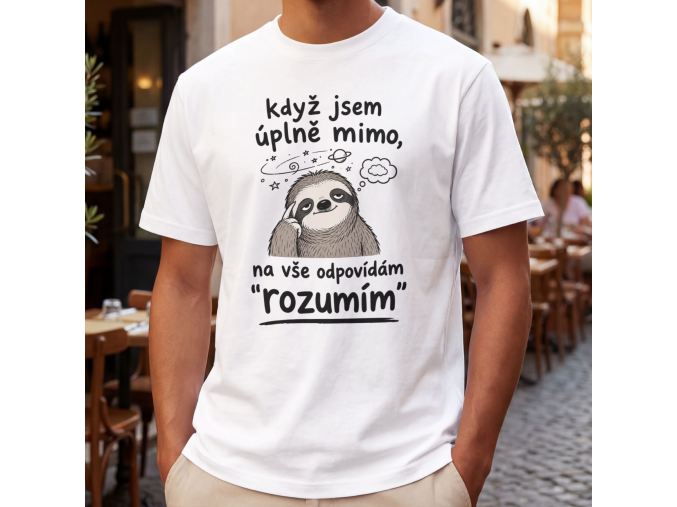 rozumím mockup