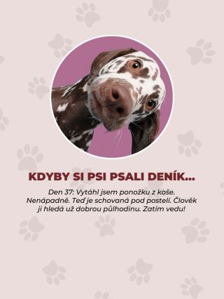 KDYBY SI PSI PSALI DENÍK… 🐾 Každý den hrdina. Každý den drama. Každý den trochu ostuda. Ponožky mizí. Tašky jsou...