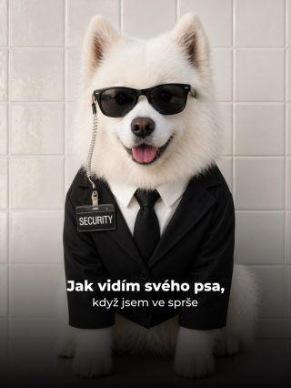 Můj pes má snad víc osobností než já 😄 - Ve sprše dělá bodyguarda - Jakmile vytáhnu pamlsky, je z něj cirkusák - U večeře...