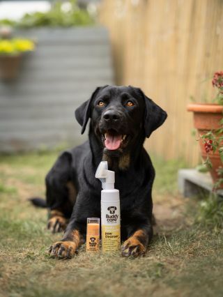 Čisté tlapky, hebké polštářky a péče, která zabere jen chvilku 🐾🤎 Po procházce přichází na řadu naše oblíbené duo od...