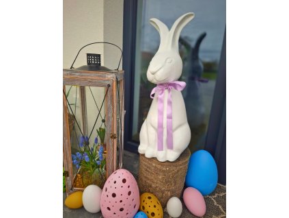 Návrh bez názvu (41)