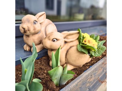 Návrh bez názvu (36)