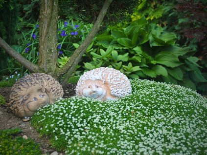 Návrh bez názvu 2025 05 12T082958.907