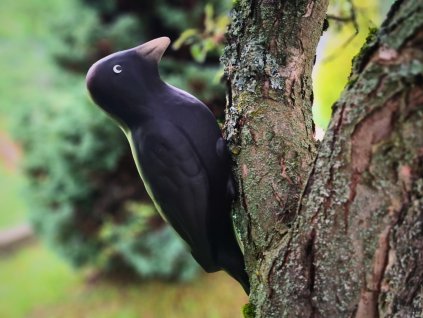 Návrh bez názvu 2025 06 10T083013.696