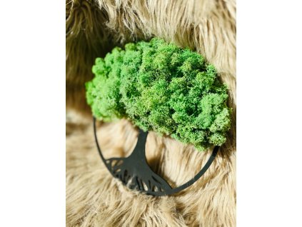 71e2f04a 88b3 42d0 9775 69ada99f2b8f