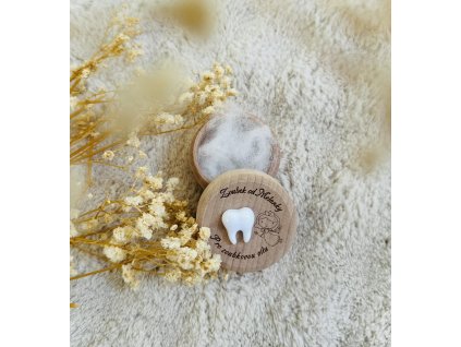 krabička na zoubky (2)