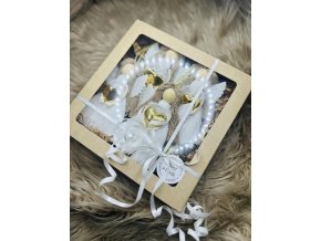 514280769 10214365247802875 4046182891691215937 n