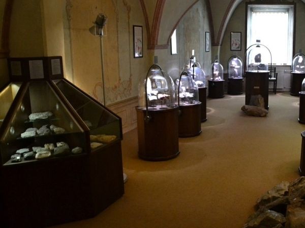 Muzeum Vysočiny Jihlava