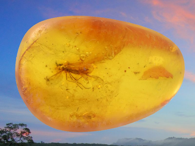 Jantar - kámen slunce