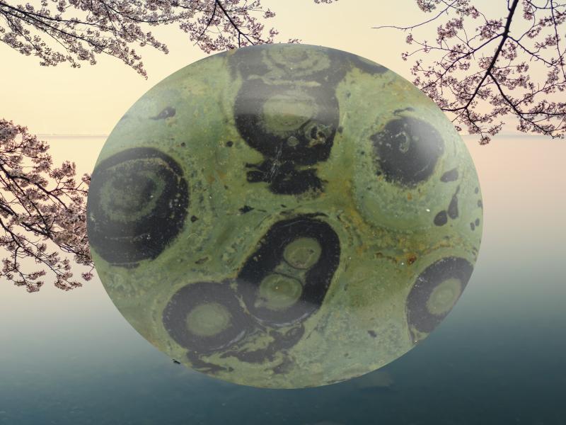 Jaspis Kambaba - zelená energie