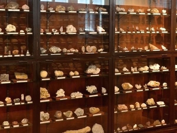 Minerály a drahé kameny - muzeum Přerov