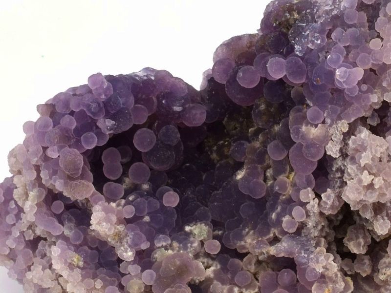 grape-ametyst-hroznovy-ametyst