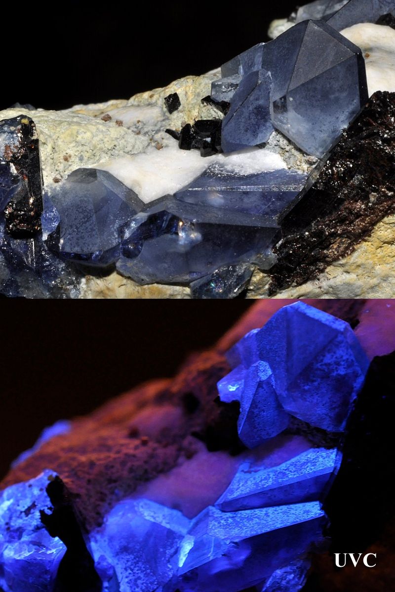 Fluorescenční benitoit za denního a dole za UVC světla, vzorek z USA.