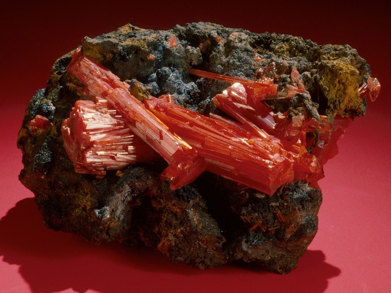 Krokoit s příměsí goethitu, sbírkový minerál z Nového Jižního Walesu, Austrálie.