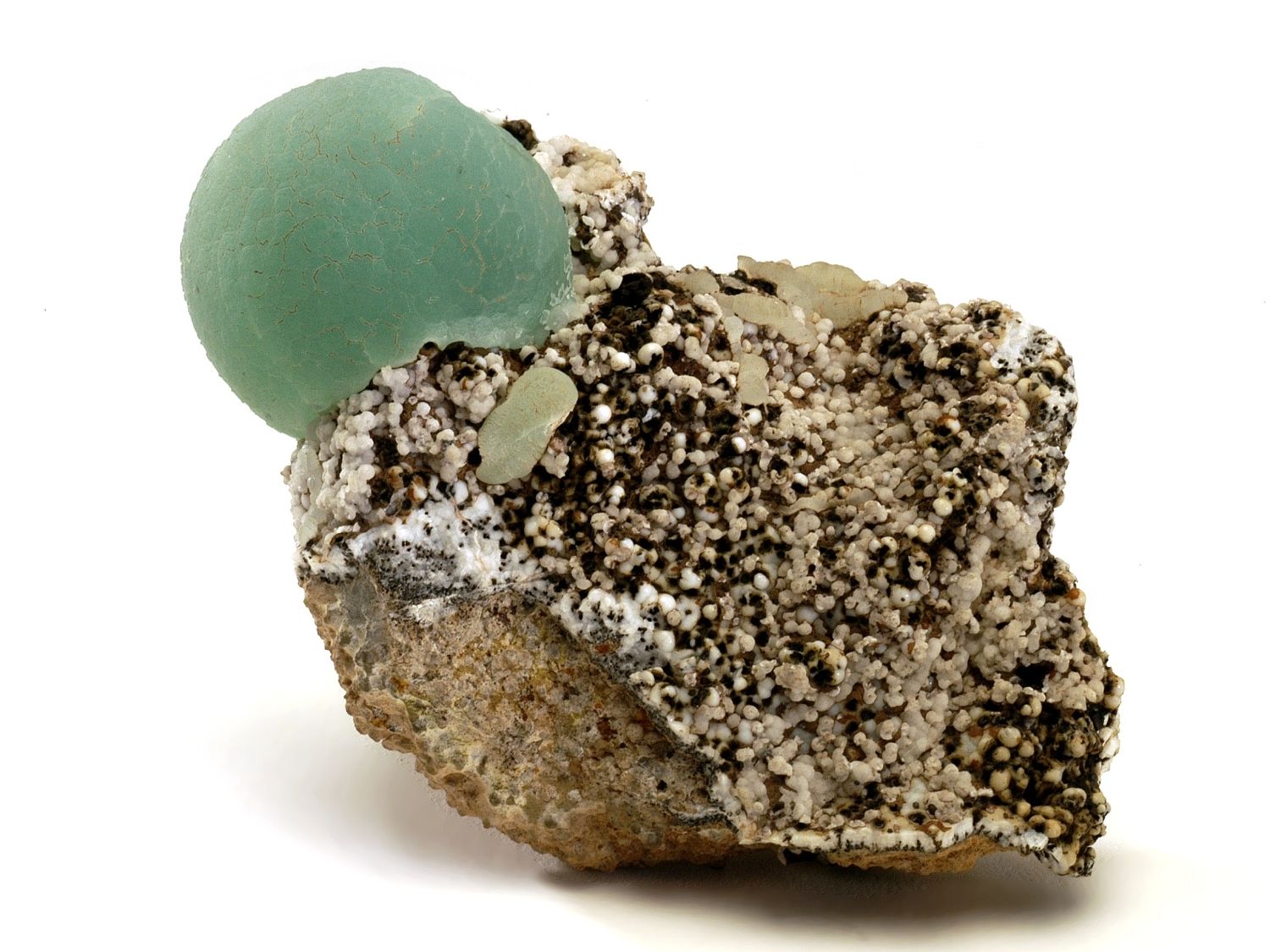 Zelenomodrý kulovitý smithsonit z Tigeru, Arizona.