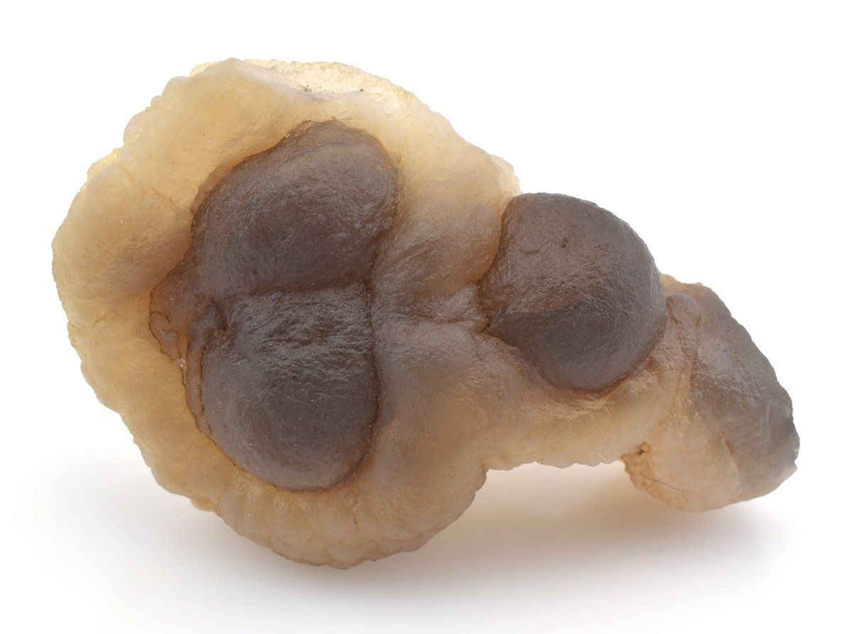 Fosilní chalcedon s botryoidní strukturou z Bu Craa.