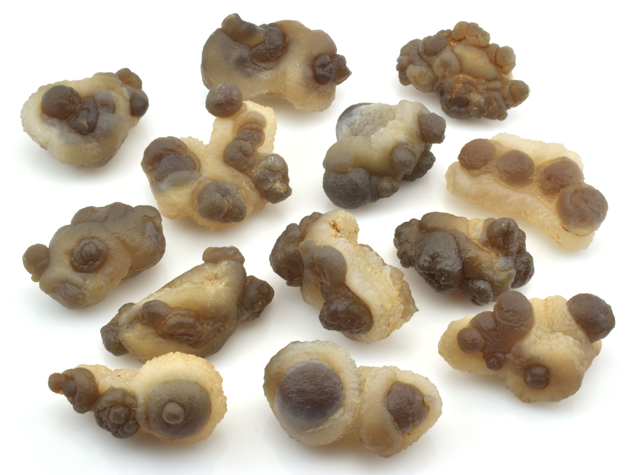 Marocké chalcedony – pseudomorfy po mořských houbách z Bu Craa.