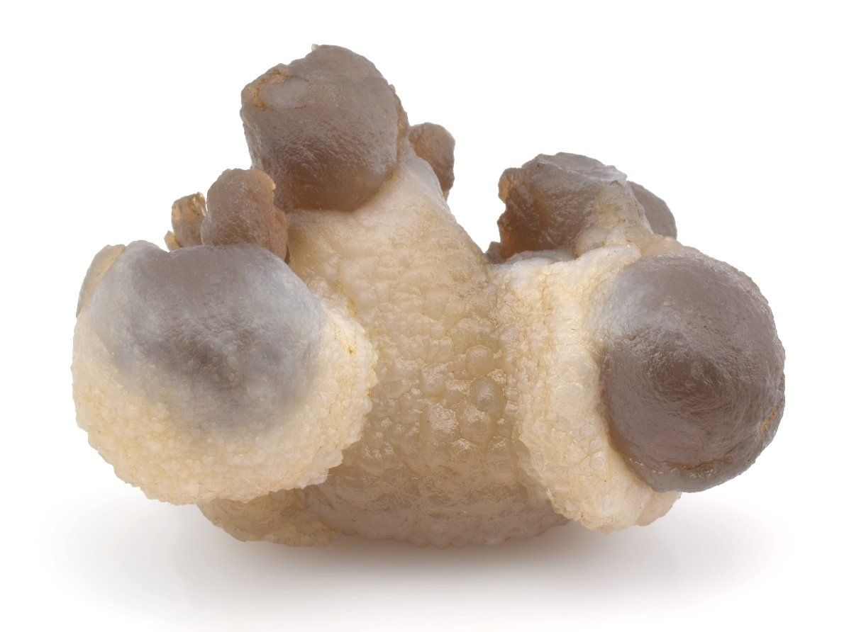 Přírodní houbový chalcedon z Maroka, rok nálezu 2016.