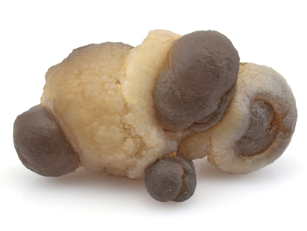 Dvoubarevný hnědý chalcedon s organickou strukturou.