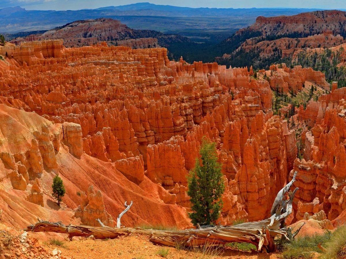 bryce-canyon-panorama