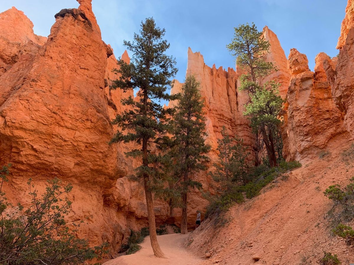 bryce-canyon-utah-detail