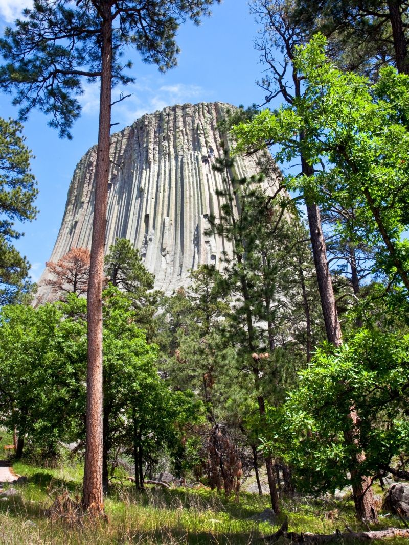 dablova-vez-devils-tower-kamenne-varhany