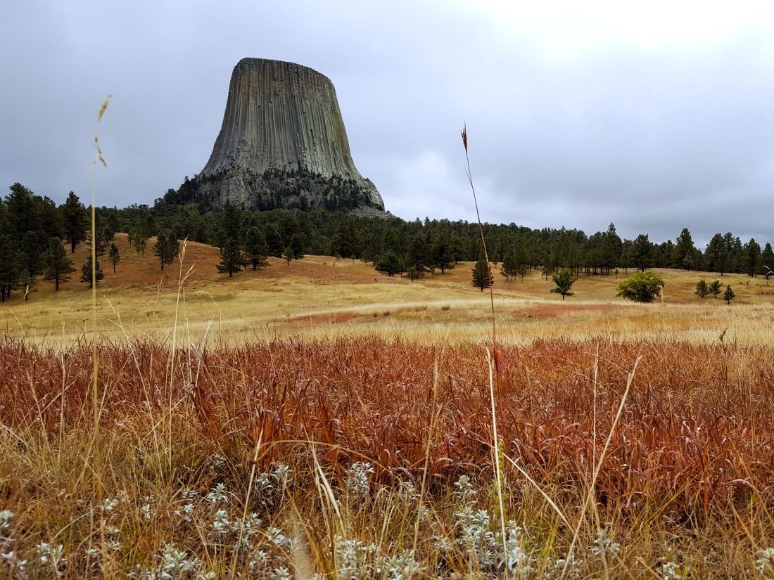 dablova-vez-devils-tower-wyoming-usa-sloupcova-odlucnost-cedice