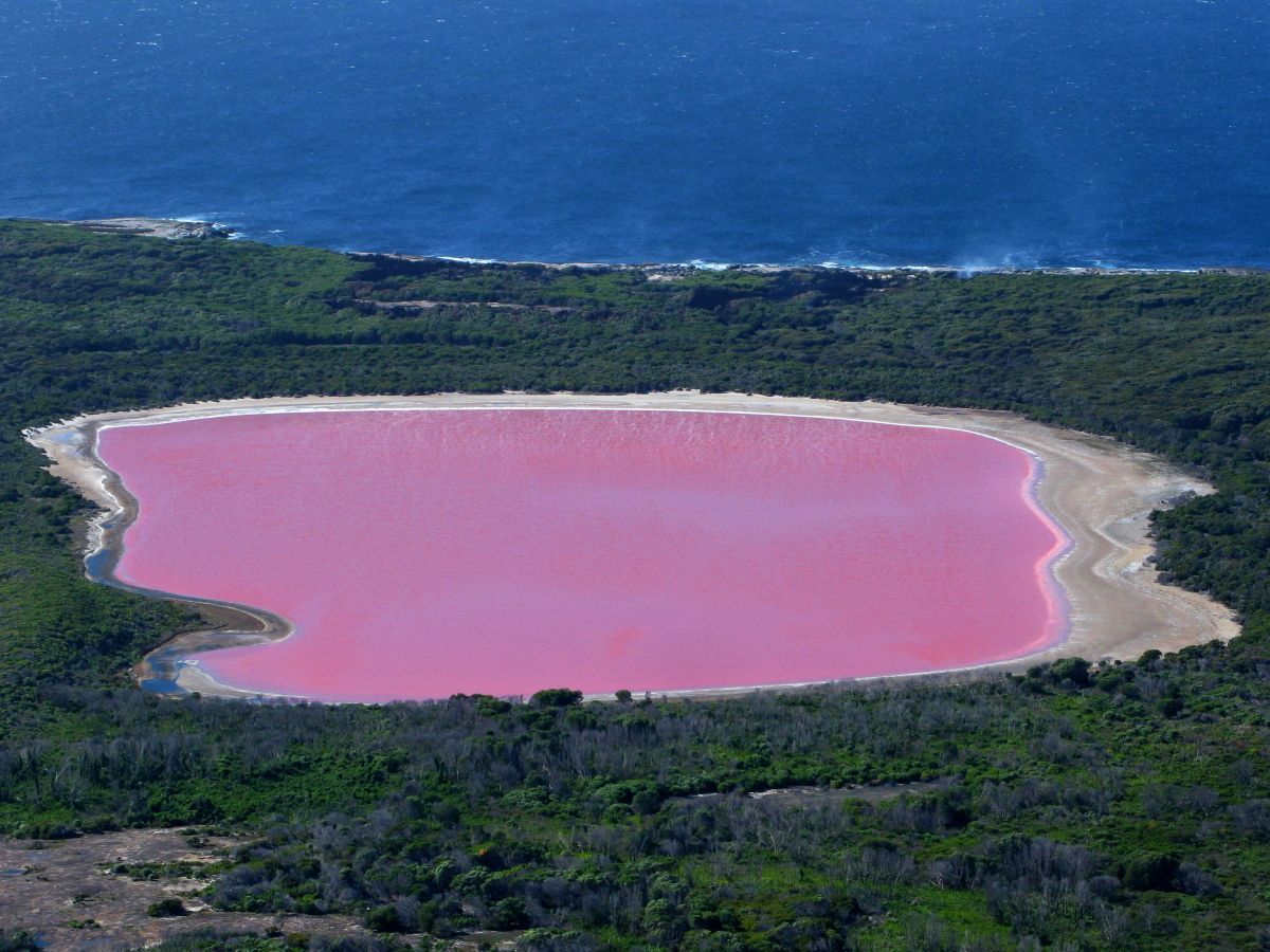 ruzove-jezero-hillier-zapadni-australie