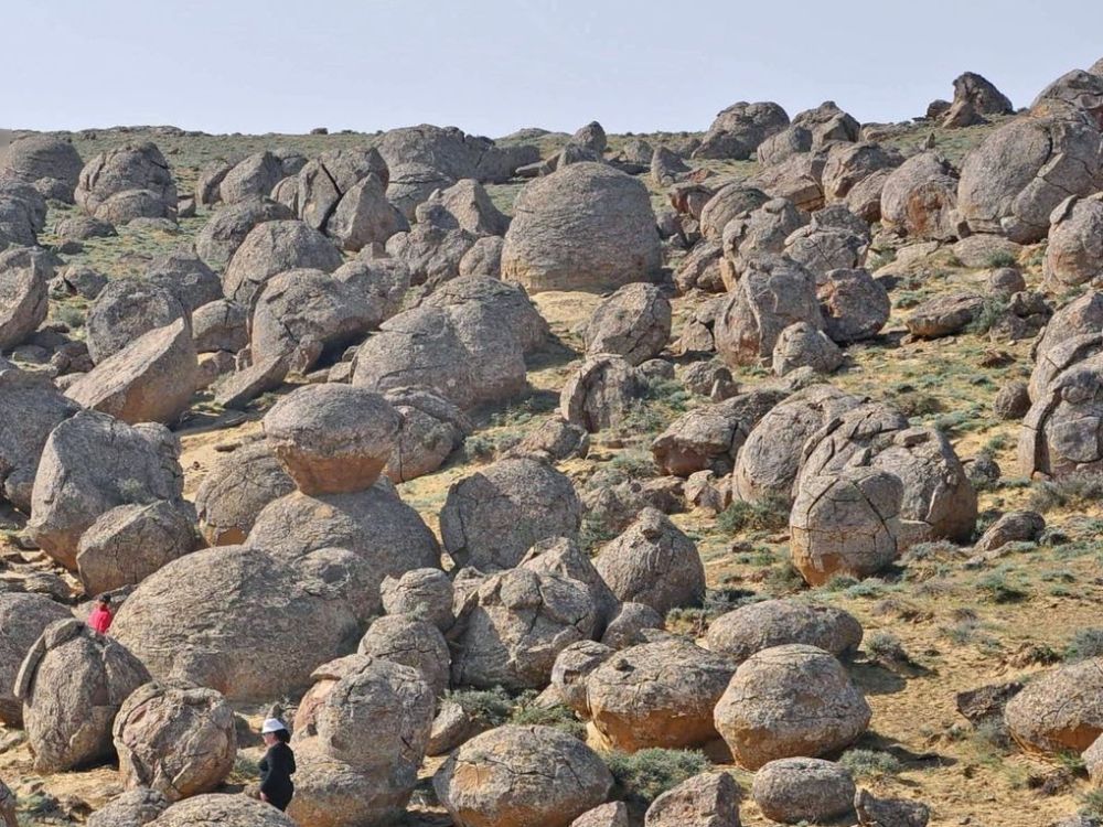 torysh-udoli-kouli
