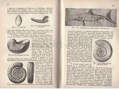 geologie-velky-ilustrovany-prirodopis-vsech-tri