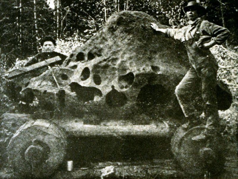 meteorit-willamette-bocni-pohled