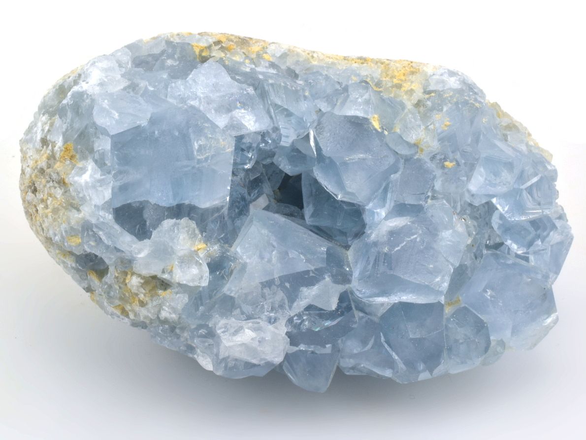 celestin-celestine-6