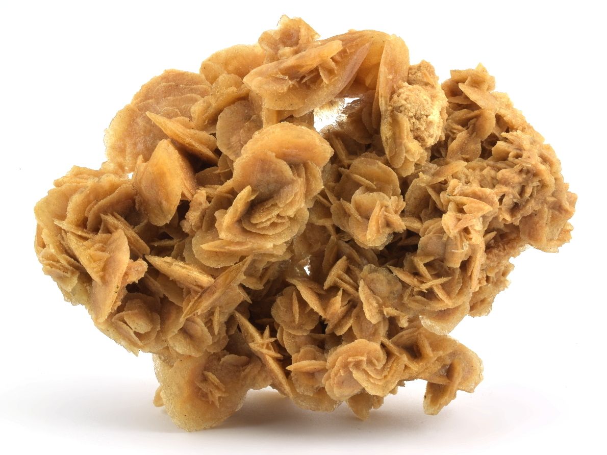poustni-ruze-2