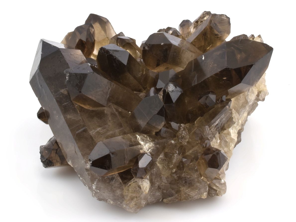 zahneda-druza-1a