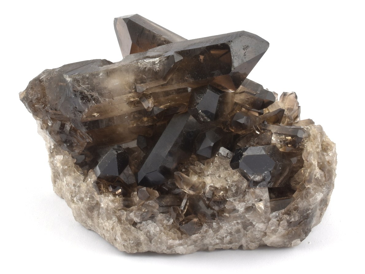 zahneda-druza-barzilie-4