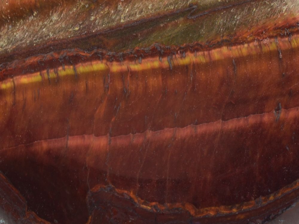 oko-byci-cervene-detail