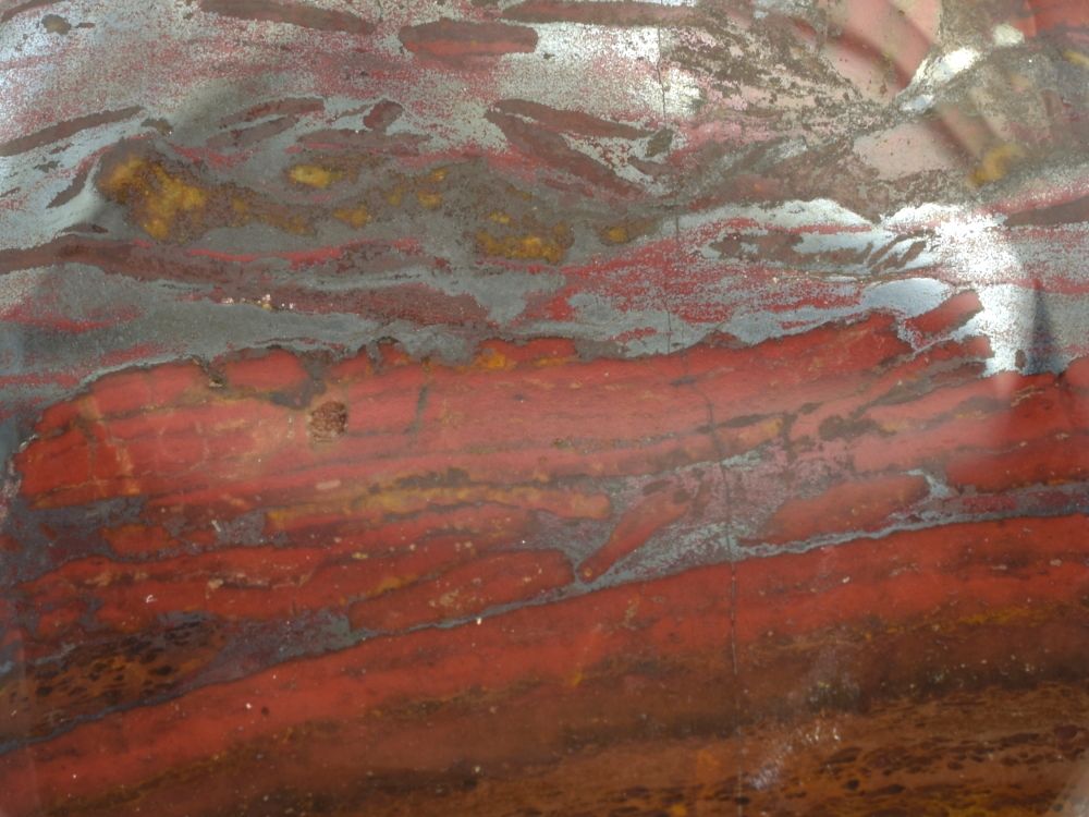 oko-tygrizelezo-detail