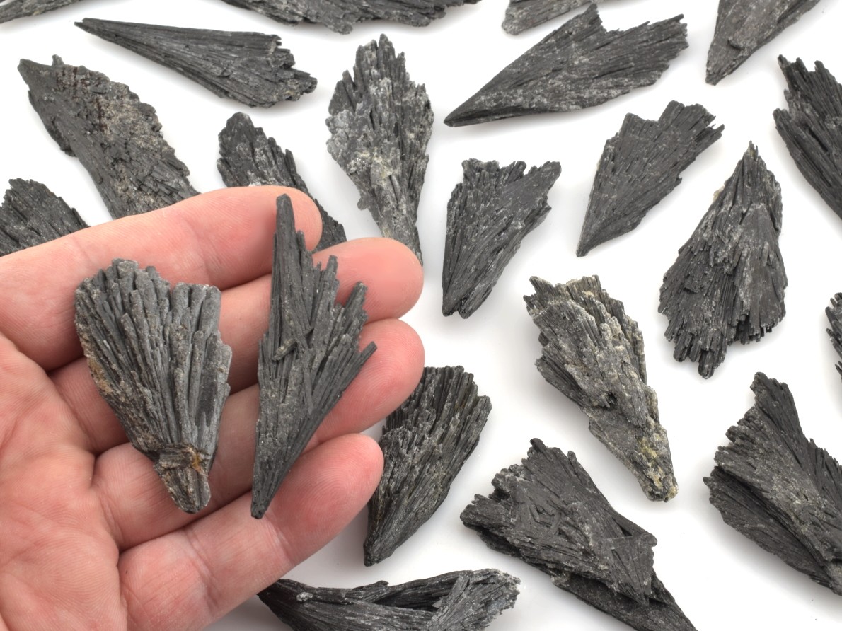 Krystaly černého kyanitu, pro ilustraci velikosti dvakusy položené na dlani.