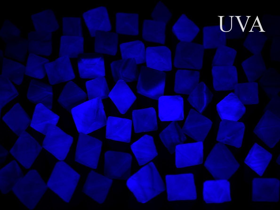 Fluority z Číny ve tvaru osmistěnů pod UV světlem.