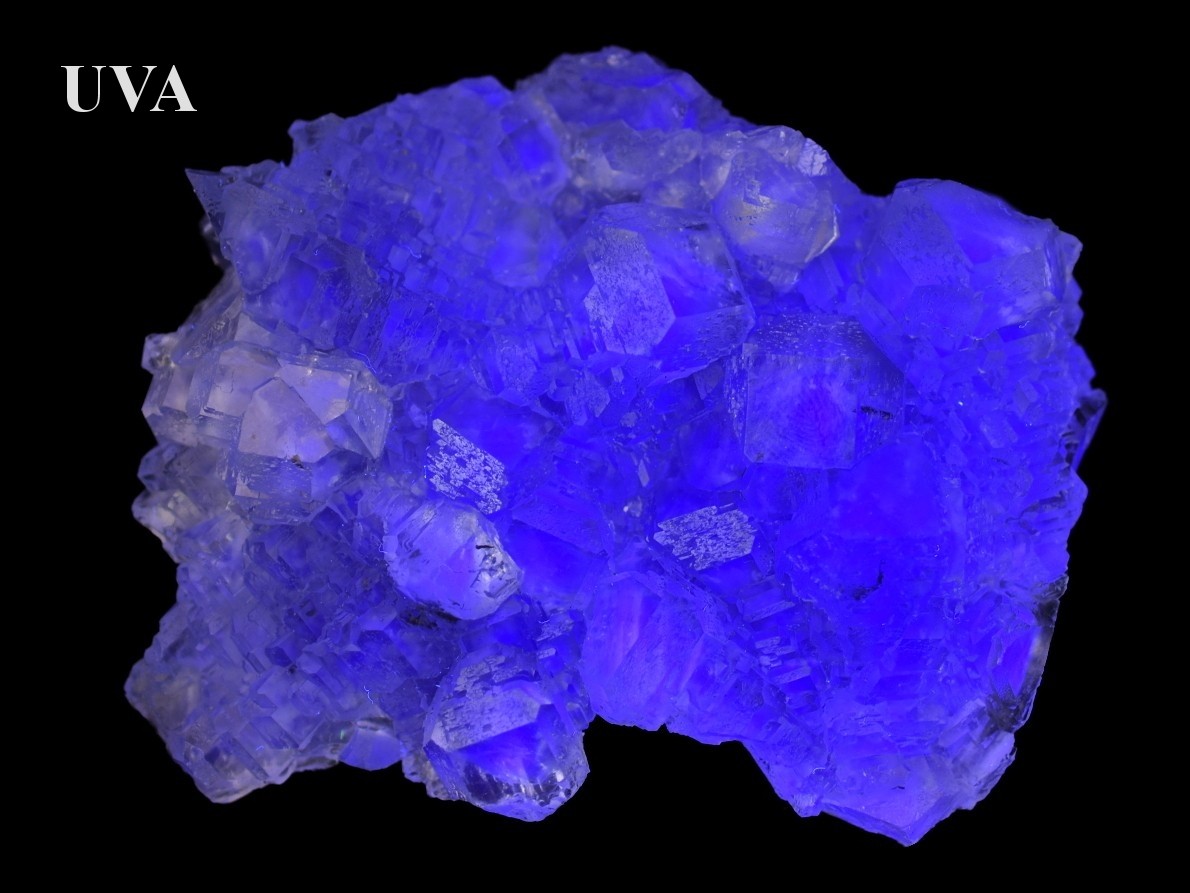 UV aktivní fluorit s výraznou modrou a fialovou fluorescencí.