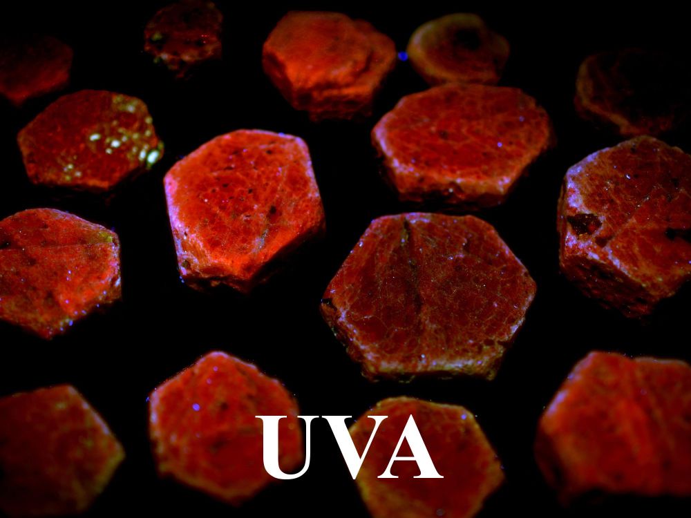 UVA-rubiny