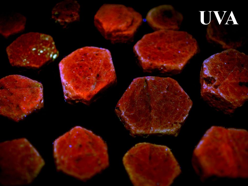 UV-rubiny