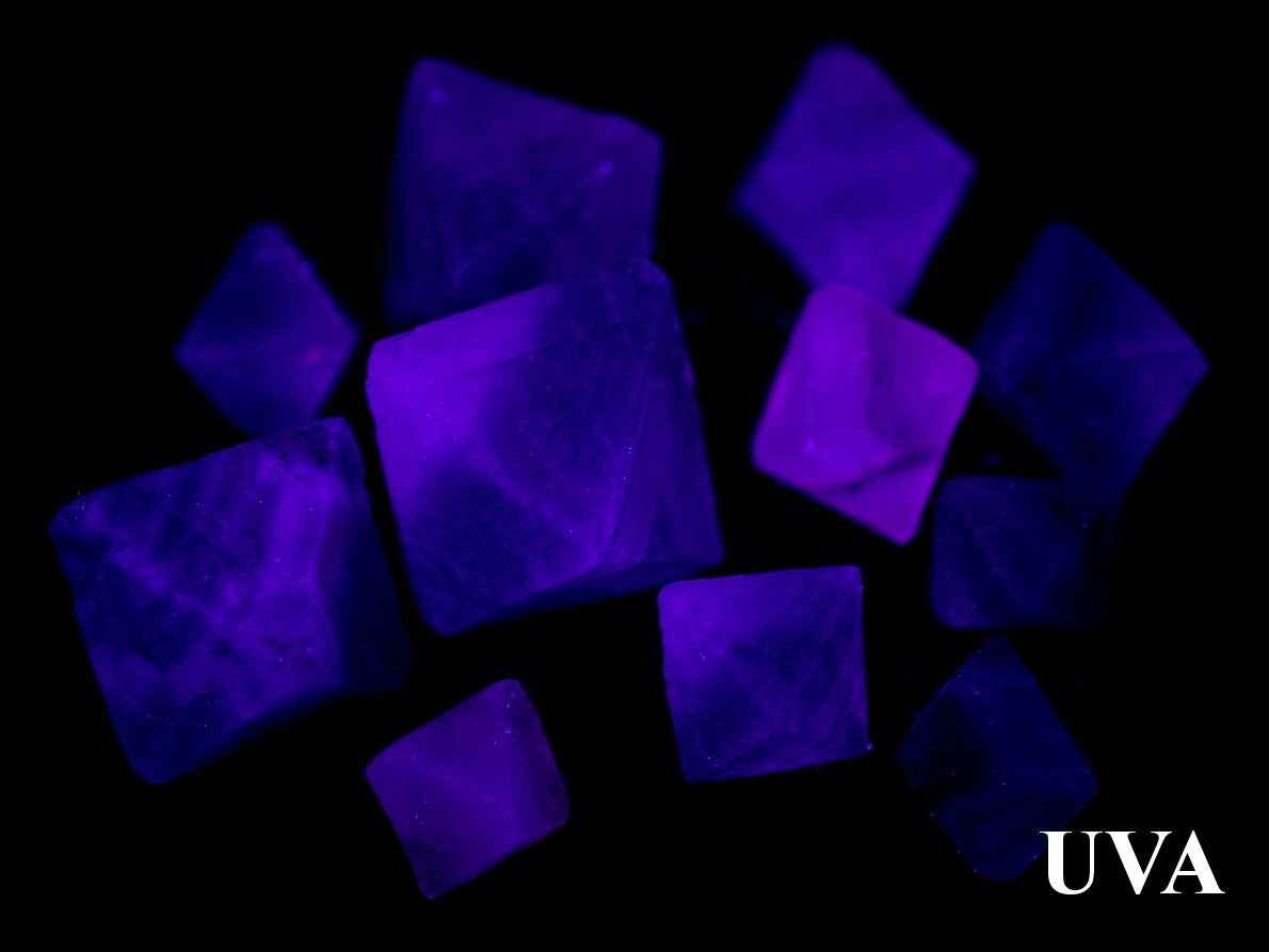 fluorit-krystaly-fialovy-100g-UV