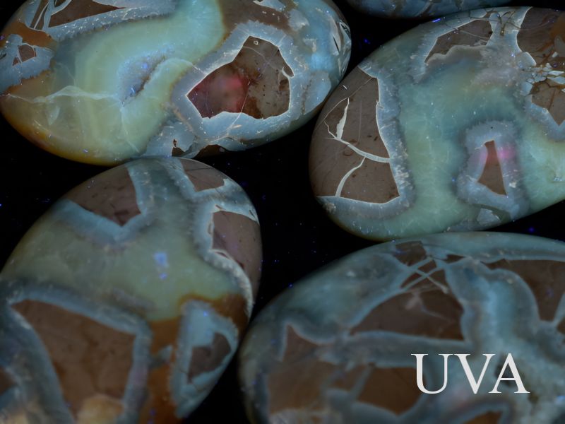septarie-zlute-uva-detail