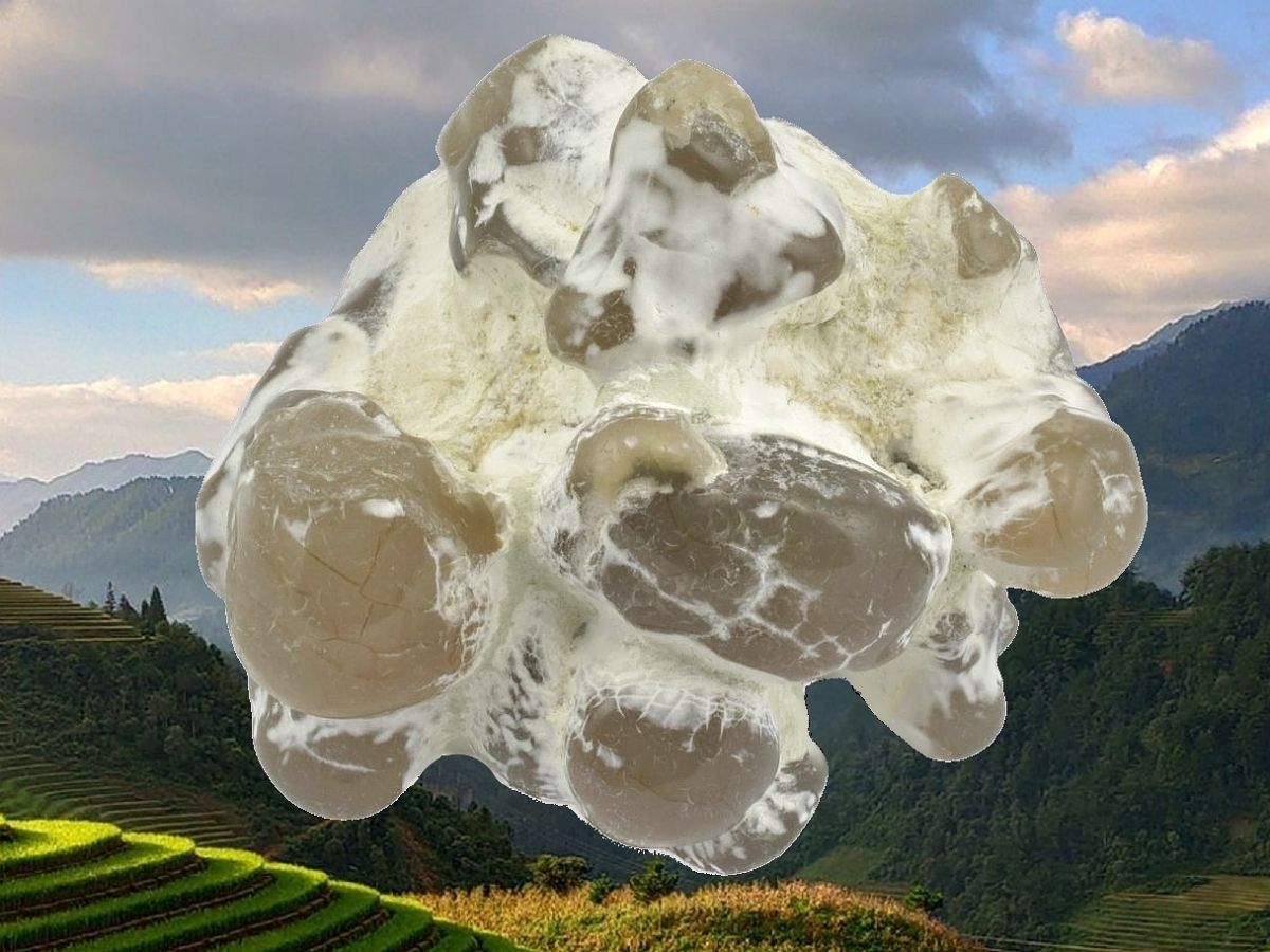 Šedo-bílý achát hadí, přírodní minerál pro ochranu a životní proměnu.