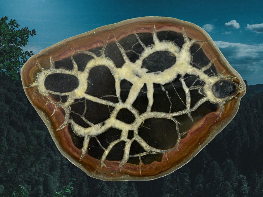 septarie-ucinky-kamene