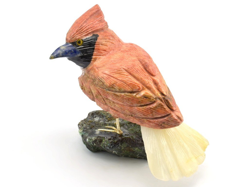soska ptak peru 19